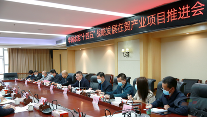 華潤水泥“十四五”戰略發展在賀產業項目推進會圓滿舉行，賀州政企合力共繪發展藍圖