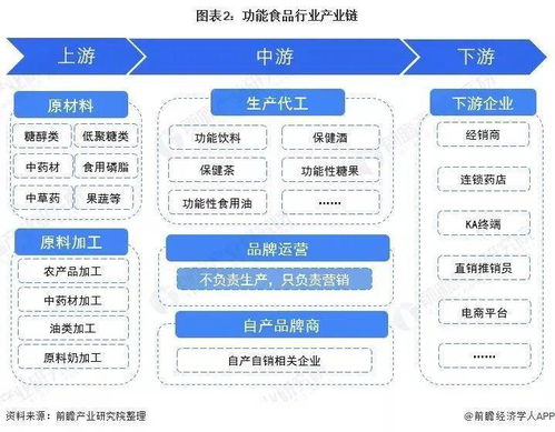 前沿解析 網(wǎng)絡(luò)技術(shù)開發(fā)賦能2022年中國功能食品行業(yè)發(fā)展前景